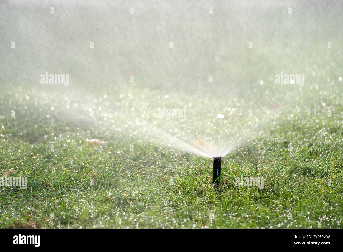 Sprinkle Action Image Sprinkler in action spraying hi-res stock photography and images - Alamy