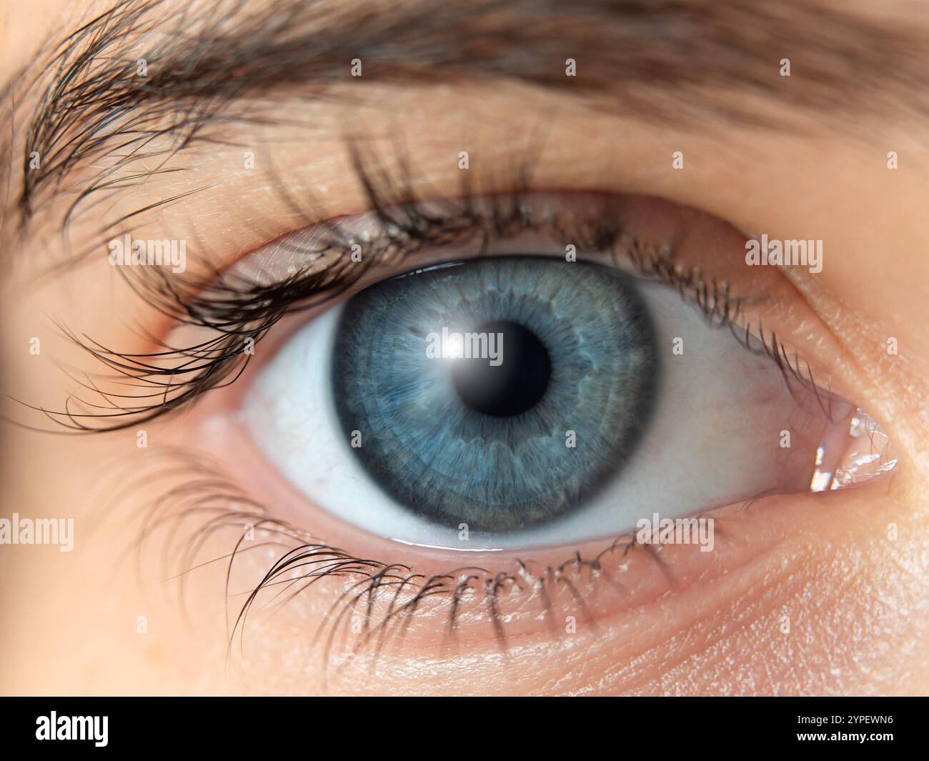 Human blue eye hi-res stock photography and images - Alamy