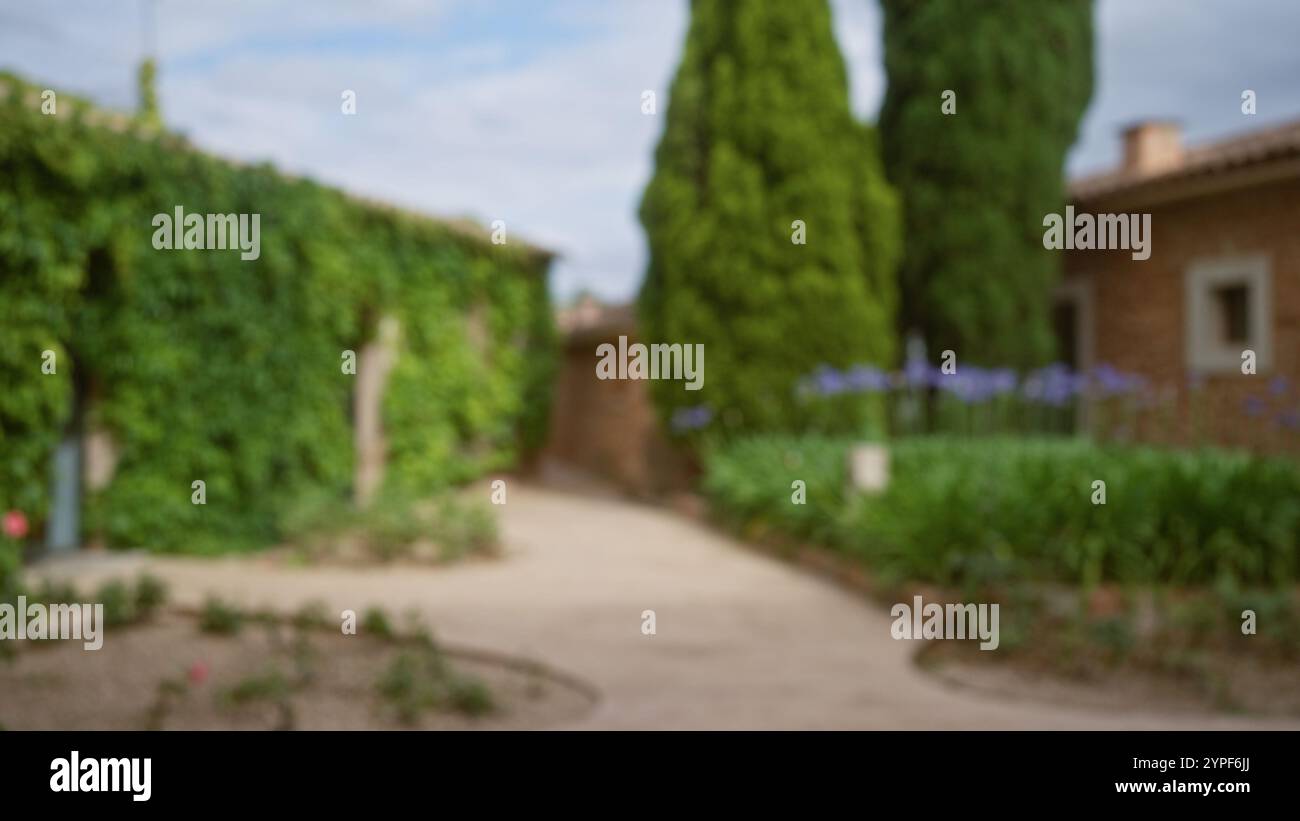 Blurred outdoor scene in mallorca with defocused garden path, greenery ...