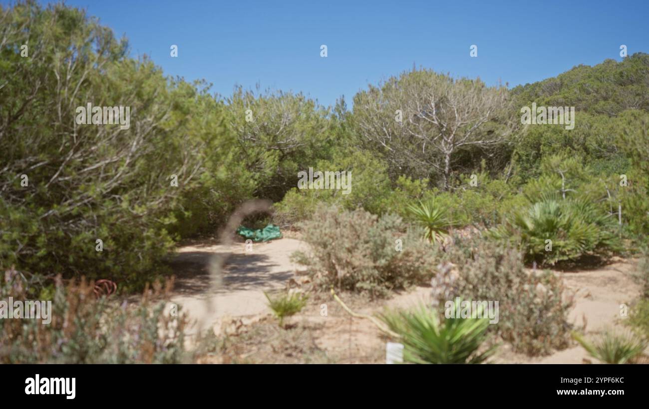 Blurred outdoor scene in mallorca with defocused greenery and bokeh ...