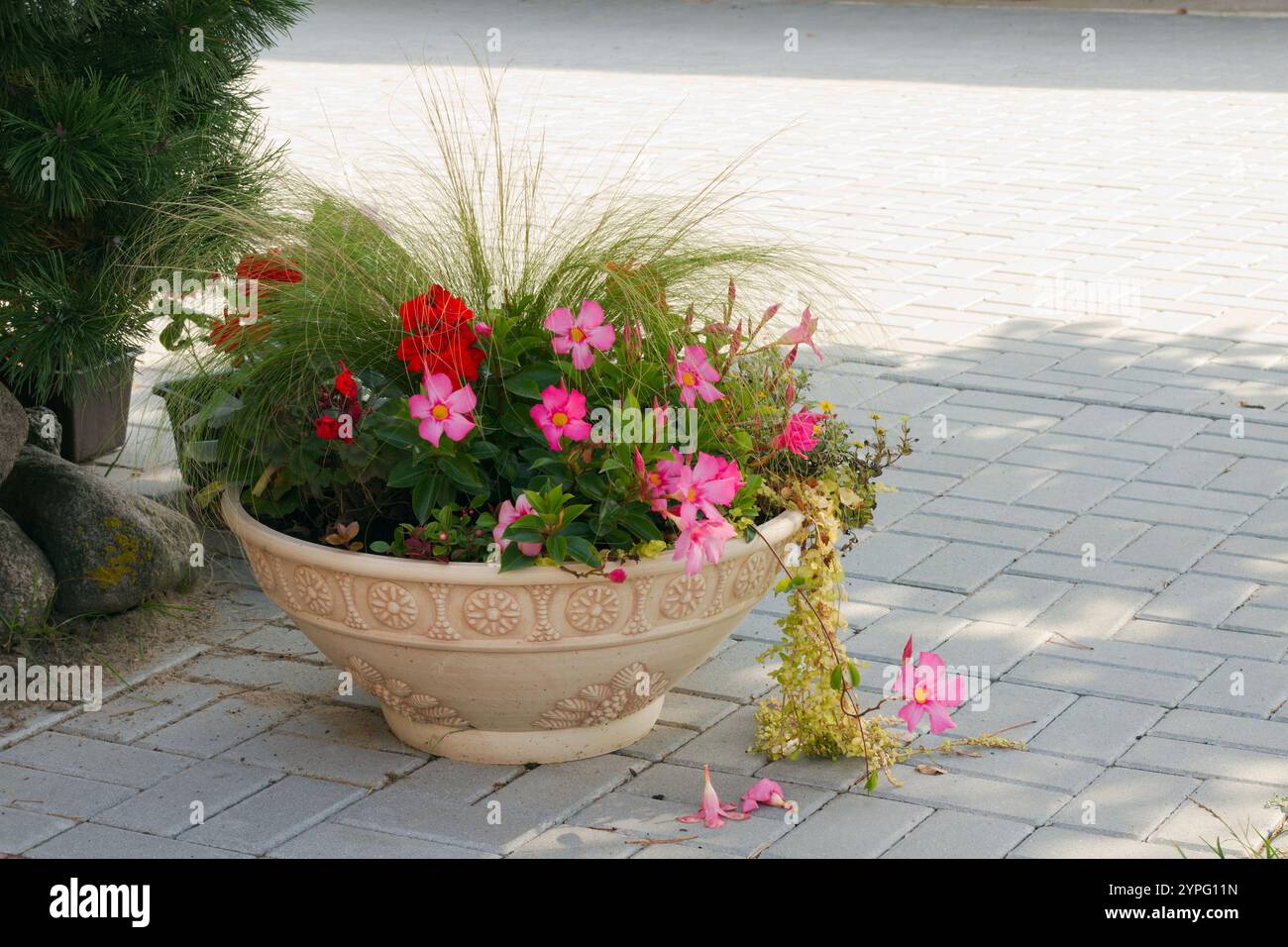 A colorful arrangement of yard flowers in a large pot Stock Photo