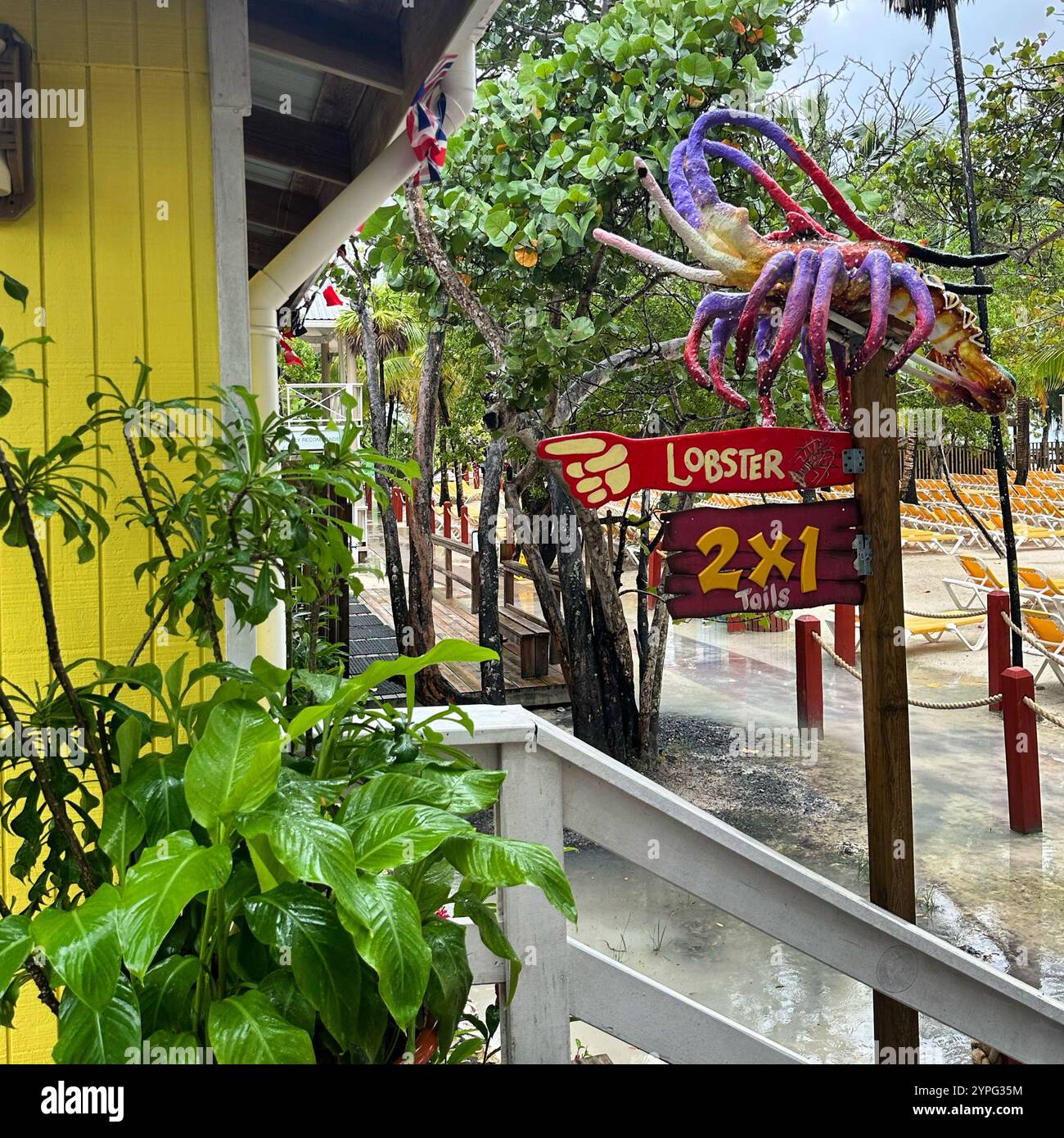 Mahogany Bay, Roatan, Bay Islands, Honduras, Central America - Smartphone Captured Stock Image