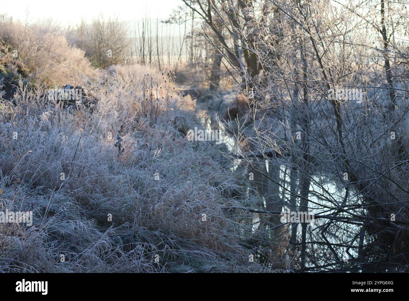 Atmospheric stream landscape hi-res stock photography and images - Alamy