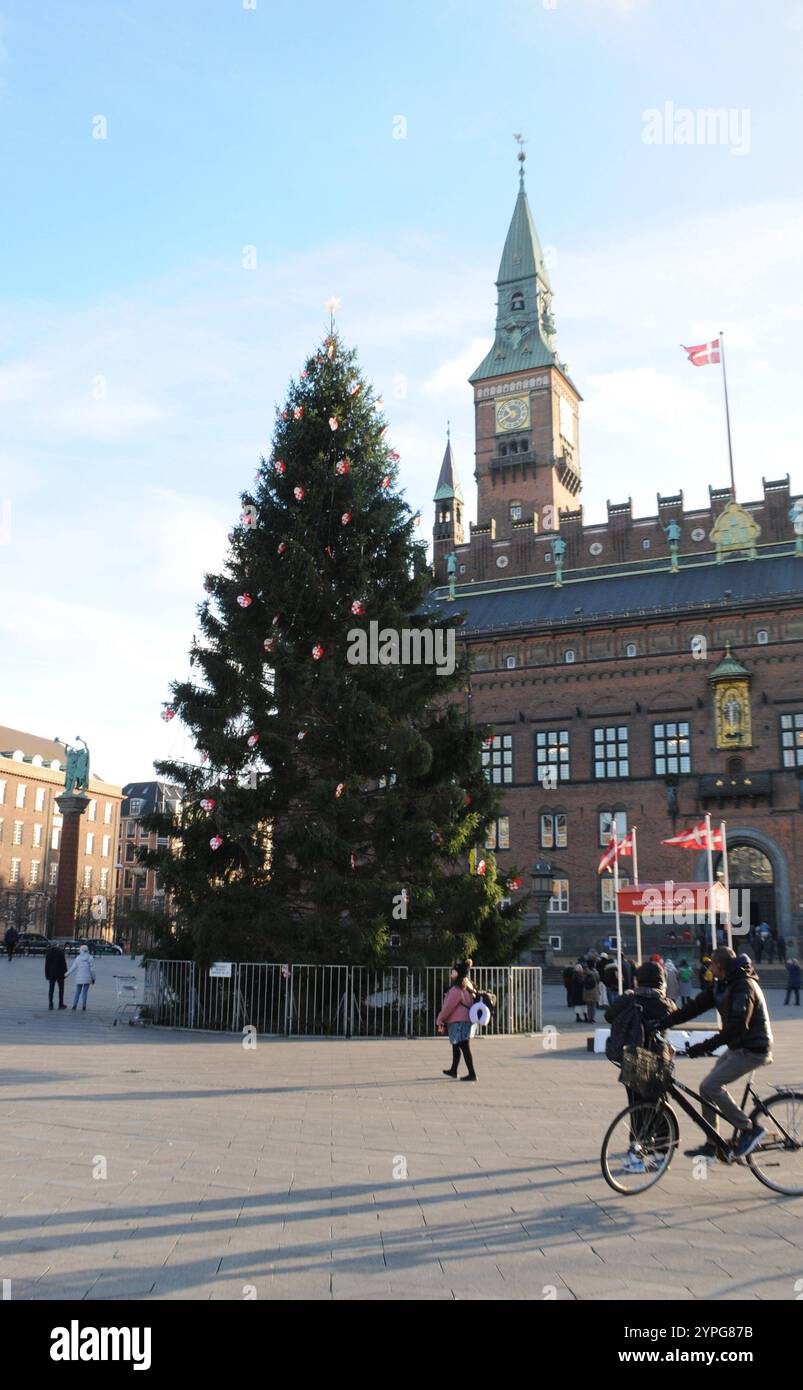 Denmark In November Copenhagen/ DenmarK/30 November 2024/ christmas tree been installed and ...