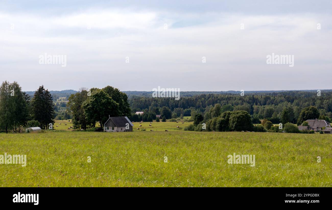 Beautiful grass trees house hi-res stock photography and images - Alamy
