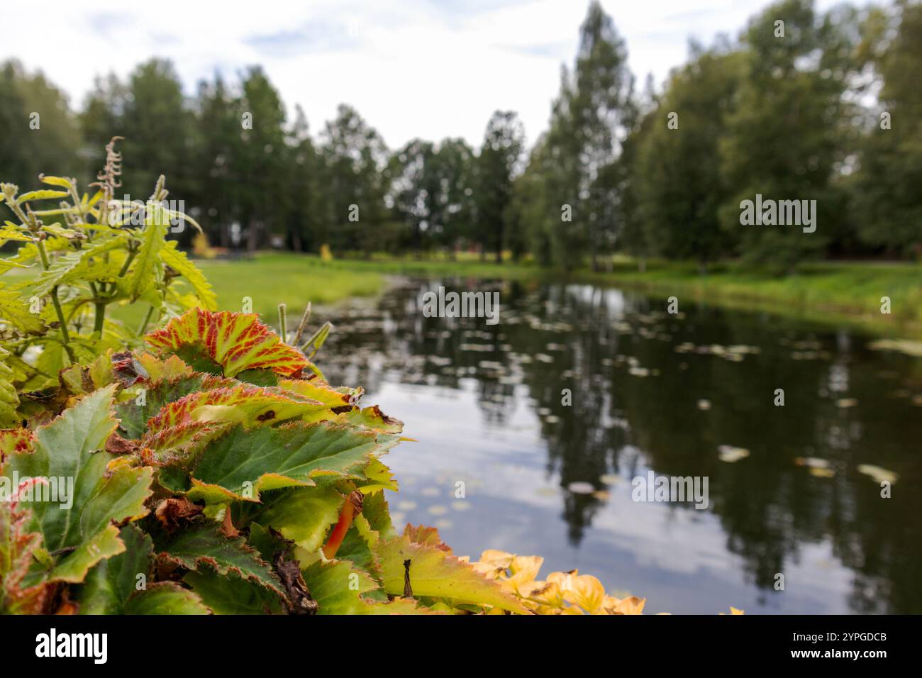 autumn landscape with trees and lake Stock Photo - Alamy