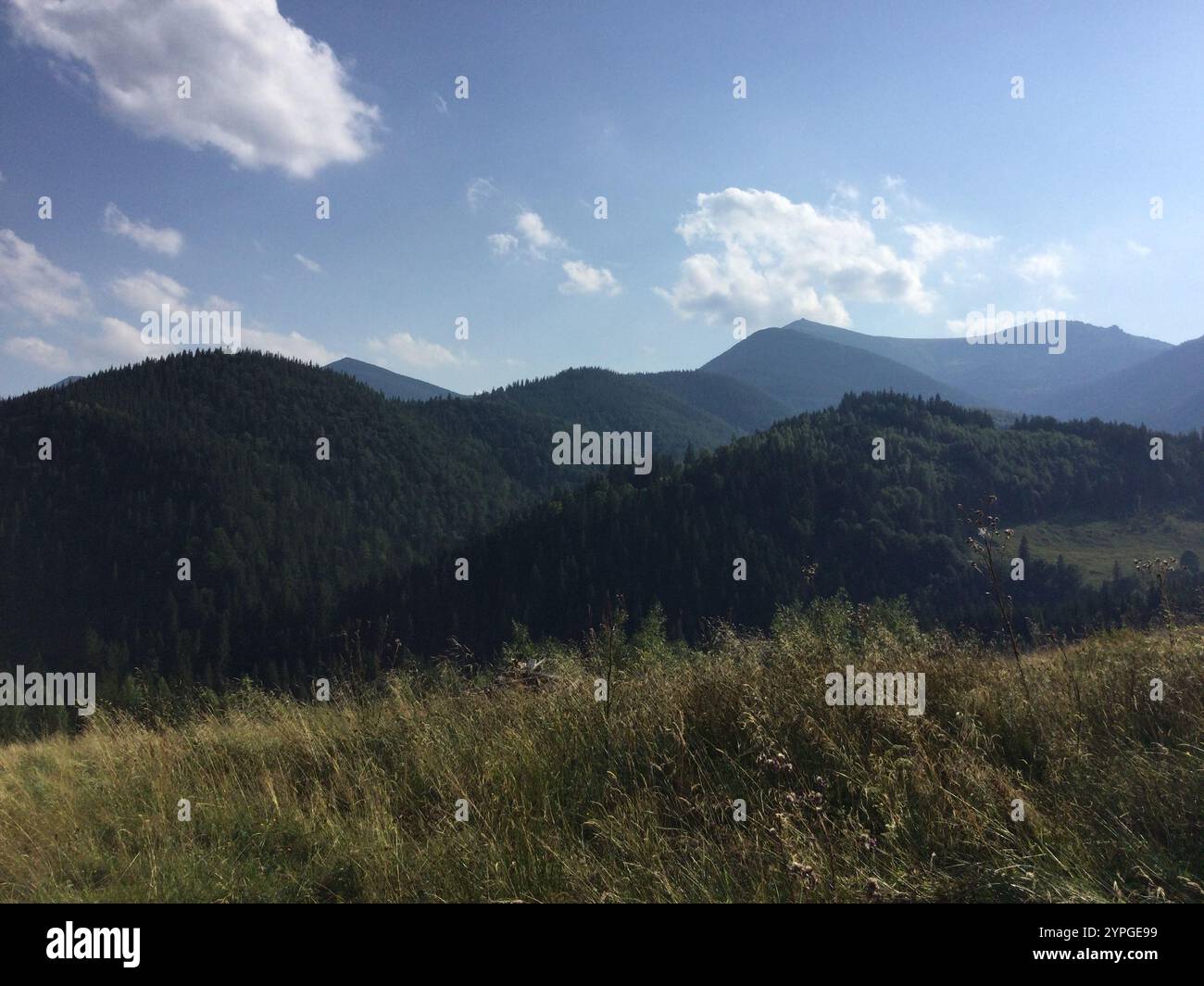 Lush green hills are visible under a bright blue sky with scattered ...