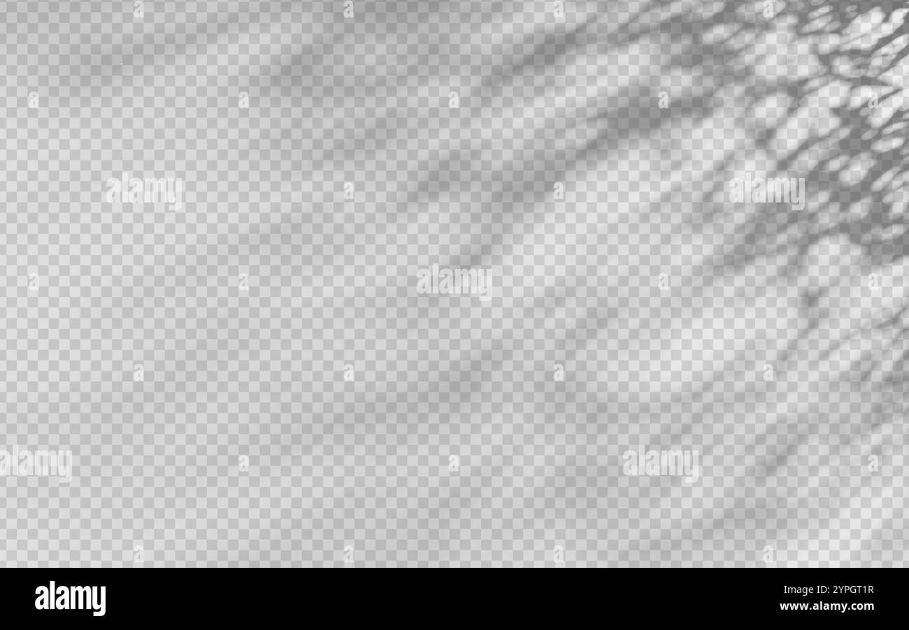 Abstract shadow overlay from foliage on a transparent background Stock ...