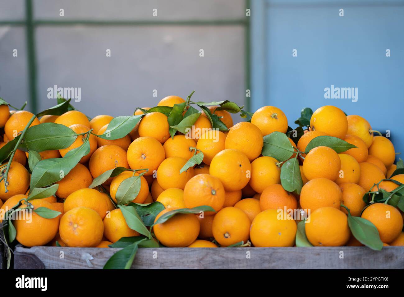 Fresh harvest of ripe oranges with green leaves in a wooden crate Stock Photo