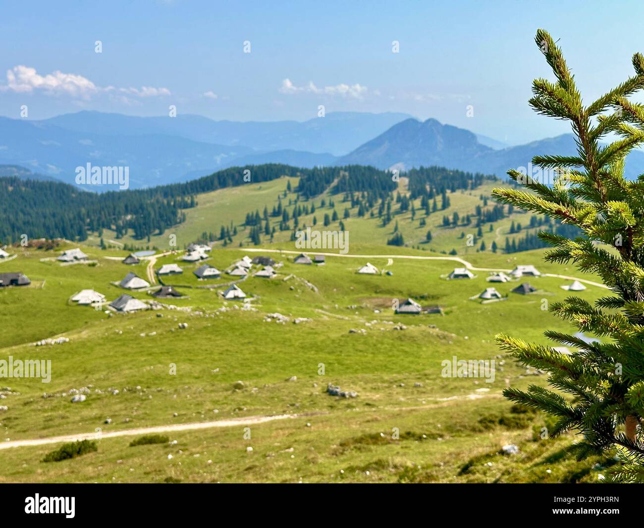 The photo captures a stunning rural landscape with majestic mountains and lush trees. - Smartphone Captured Stock Image