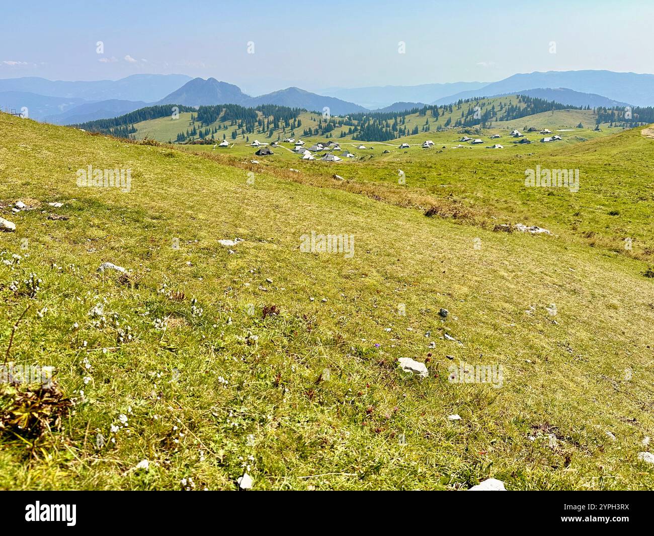The photo captures a stunning rural landscape with majestic mountains and lush trees. - Smartphone Captured Stock Image