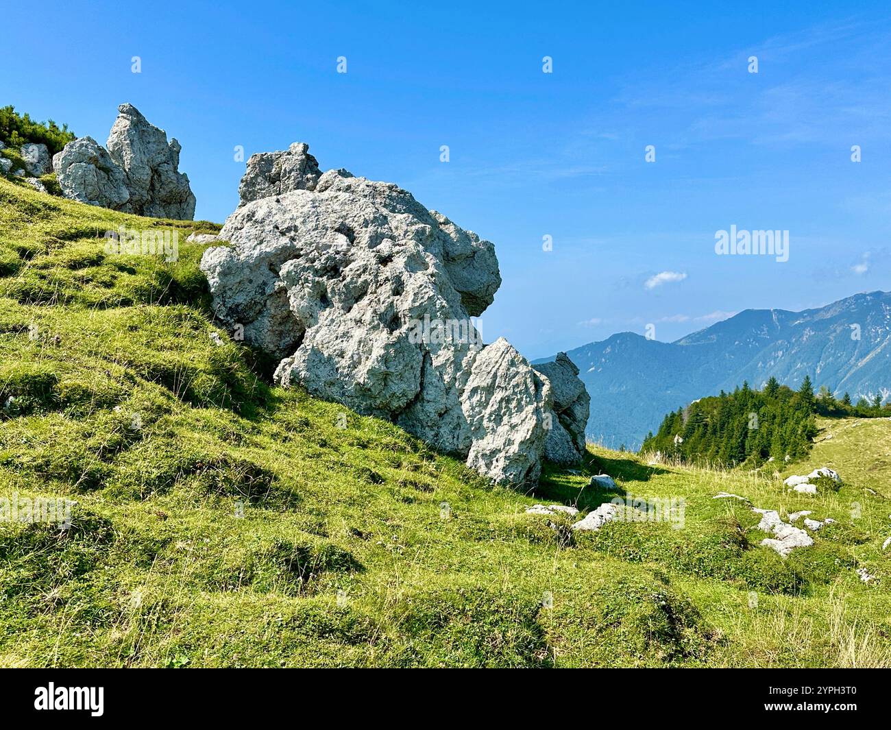 The photo captures a stunning rural landscape with majestic mountains and lush trees. - Smartphone Captured Stock Image