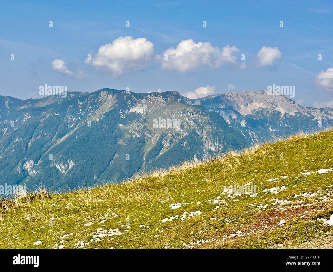 The photo captures a stunning rural landscape with majestic mountains and lush trees. - Smartphone Captured Stock Image
