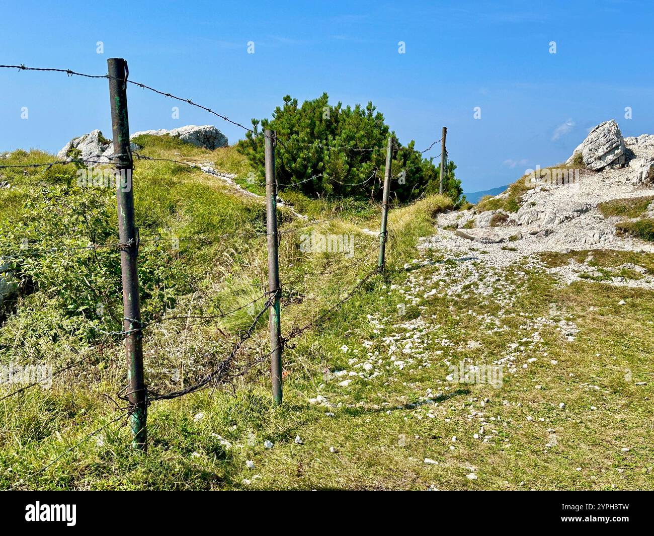 The photo captures a stunning rural landscape with majestic mountains and lush trees. - Smartphone Captured Stock Image