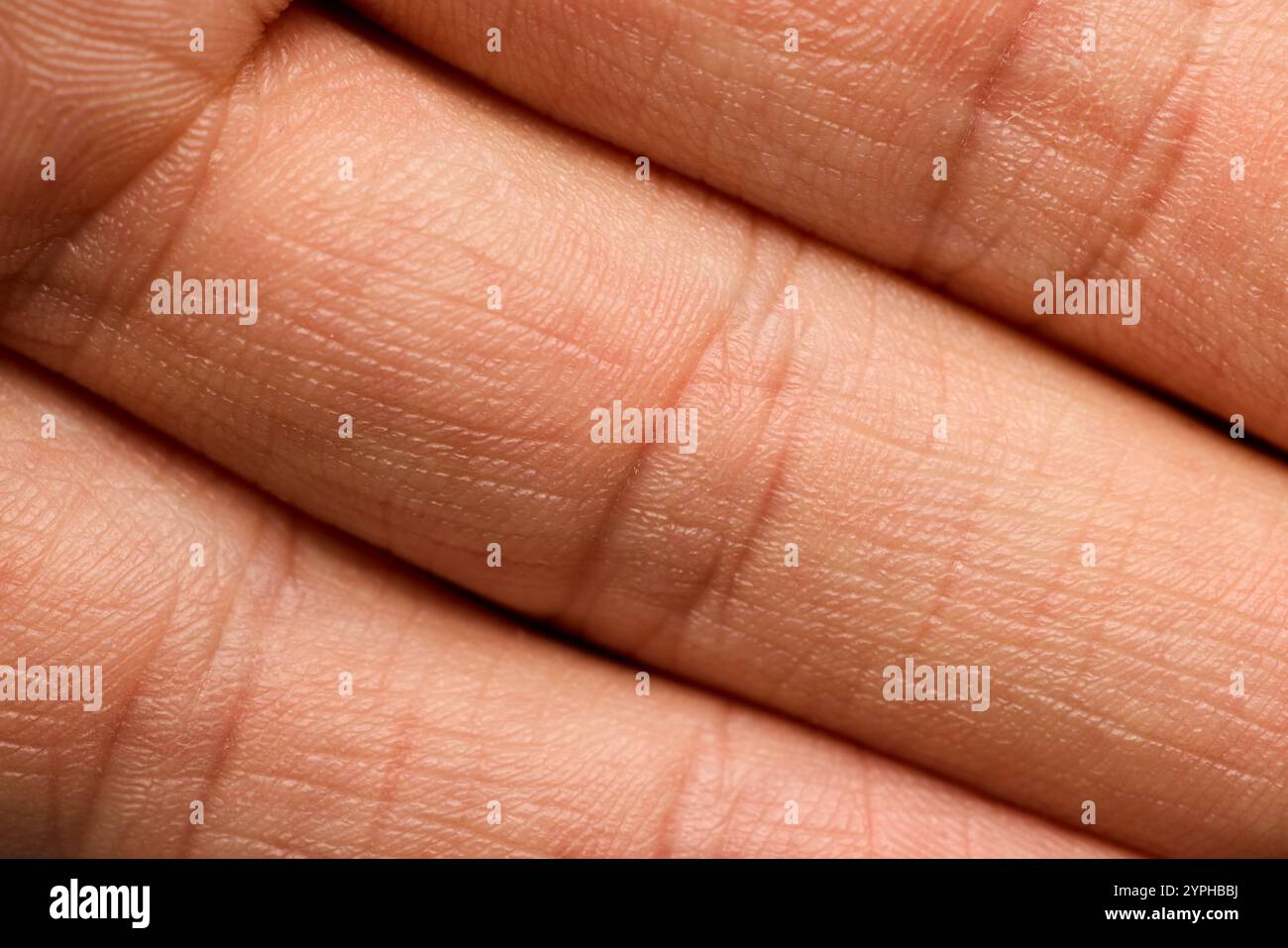 A closeup image showcasing a Human Palm with highly visible lines and intricate textures Stock Photo