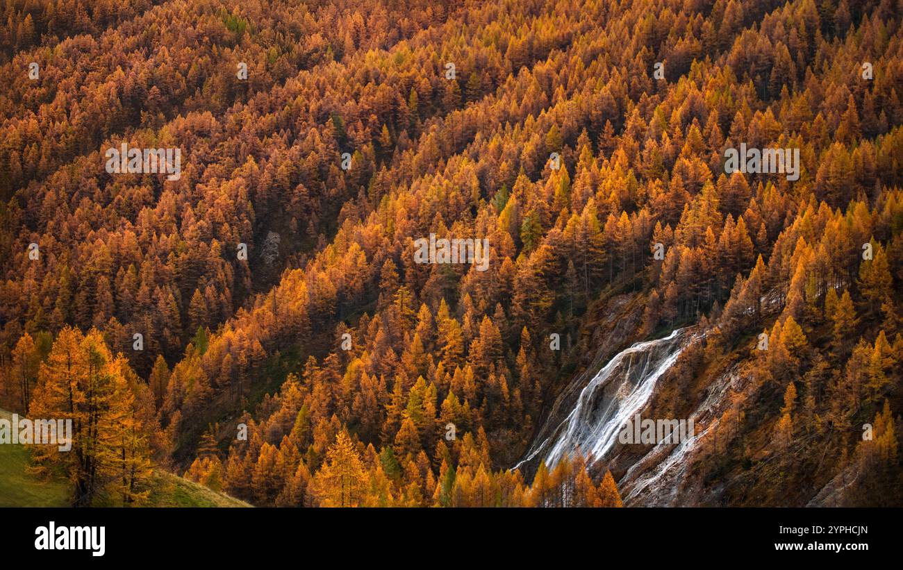 Larix Fall Water fall in national park of vanoise hi-res stock photography and ...