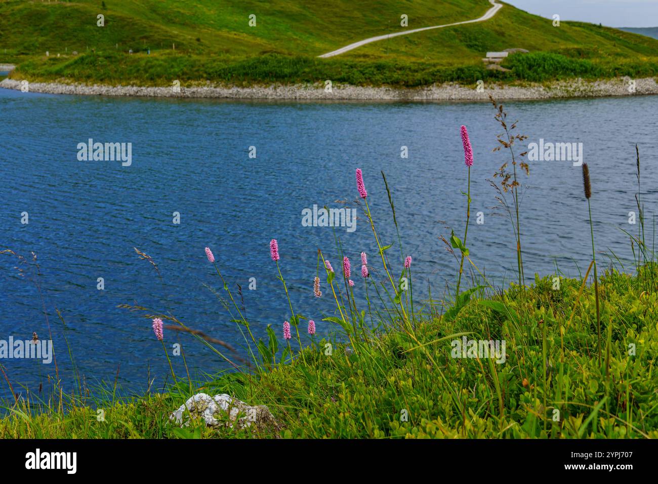 in the austrian alps Stock Photo - Alamy