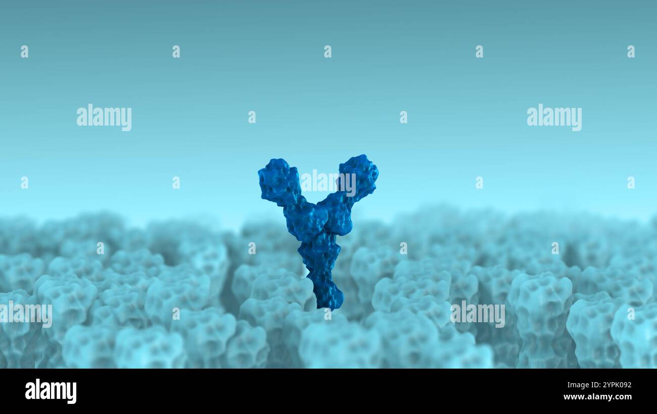 Receptor Binding by Antibodies Regulating Cellular Activity Stock Photo