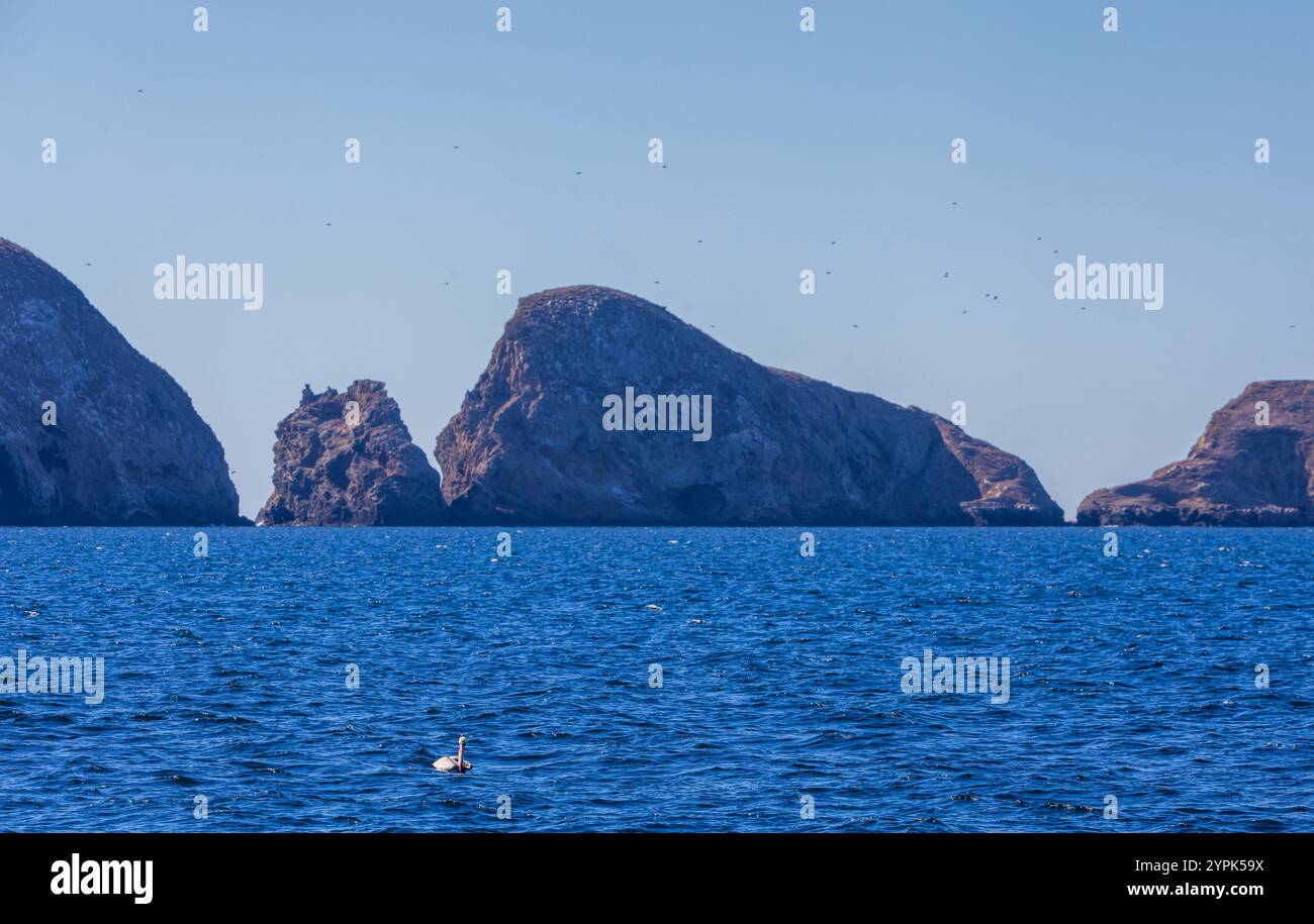 Channel islands national park hi-res stock photography and images - Alamy