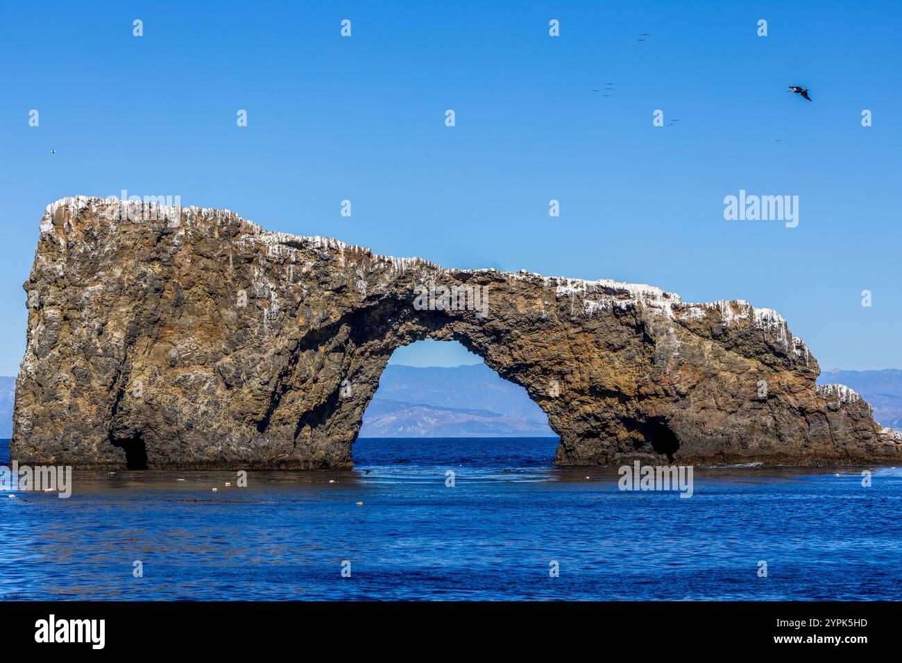 Channel islands national park hi-res stock photography and images - Alamy