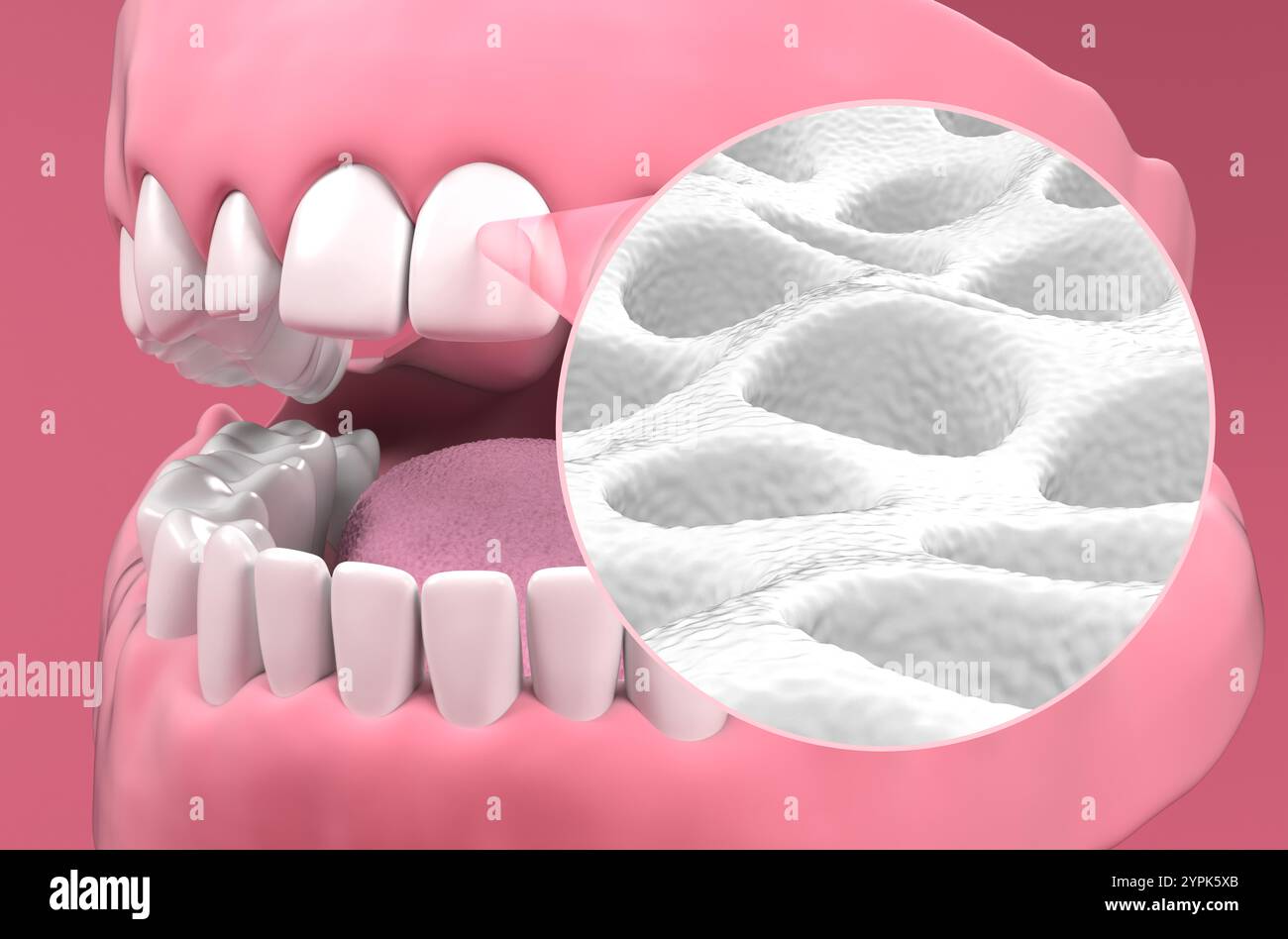Tooth surface - isometric view 3d illustration Stock Photo