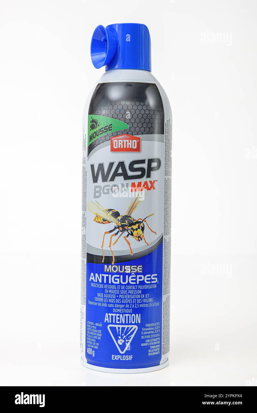 A spray container of Ortho Wasp Bgon Max Stock Photo - Alamy
