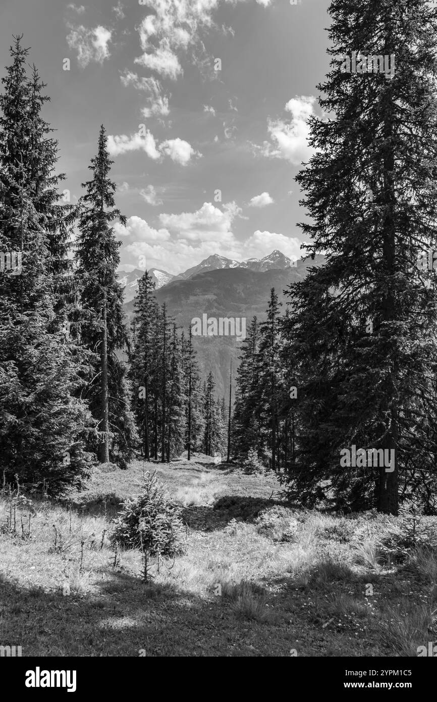Hiking In The Austrian Alps Stock Photo Alamy Hiking In The Austrian Alps Stock Photo Alamy