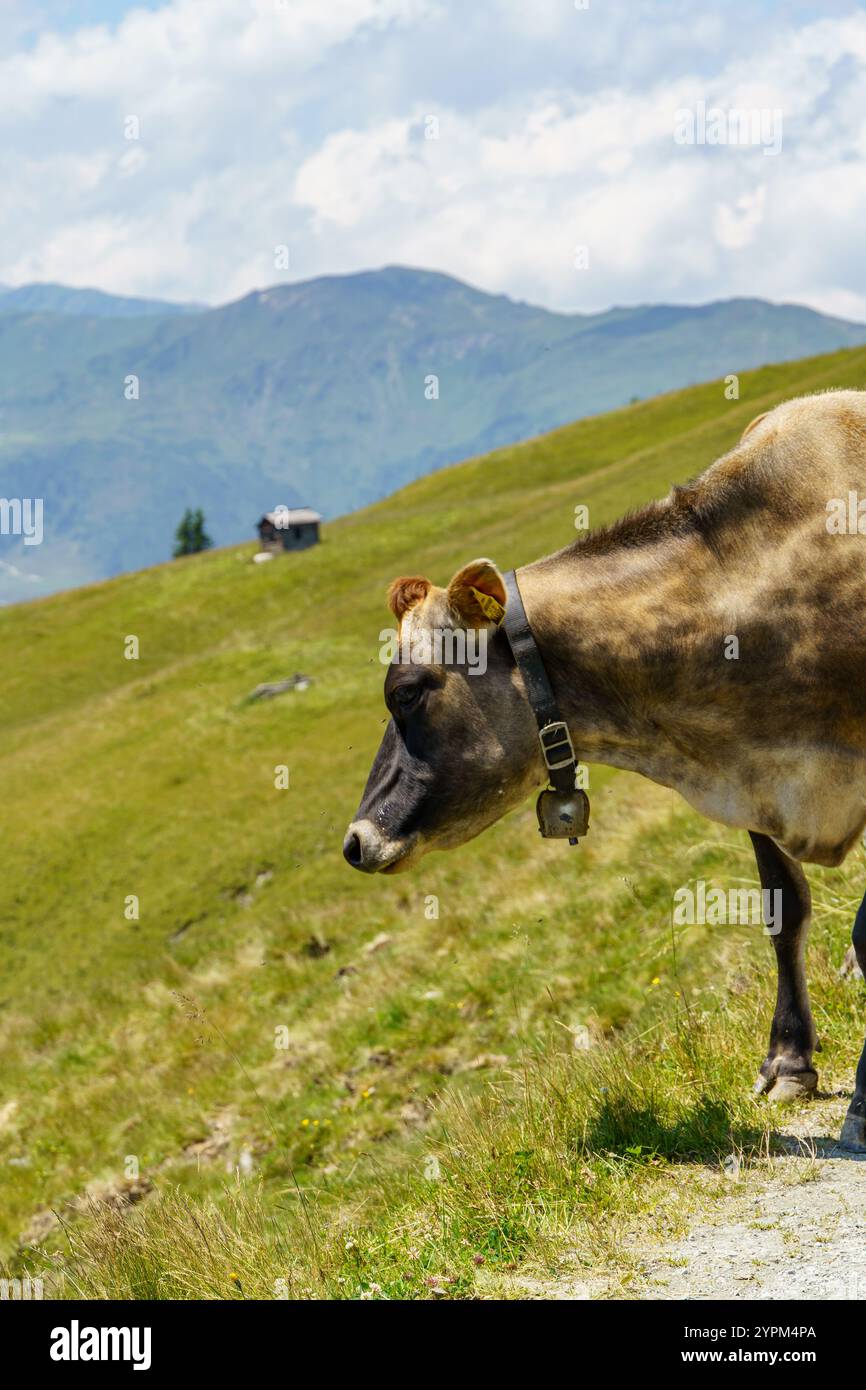 Hiking In The Austrian Alps Stock Photo Alamy Hiking In The Austrian Alps Stock Photo Alamy
