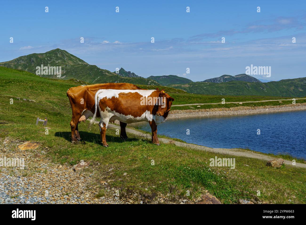 Hiking In The Austrian Alps Stock Photo Alamy Hiking In The Austrian Alps Stock Photo Alamy