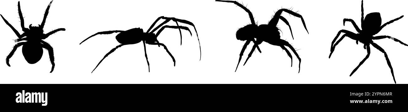 set of spider silhouette isolated Stock Vector Image & Art - Alamy