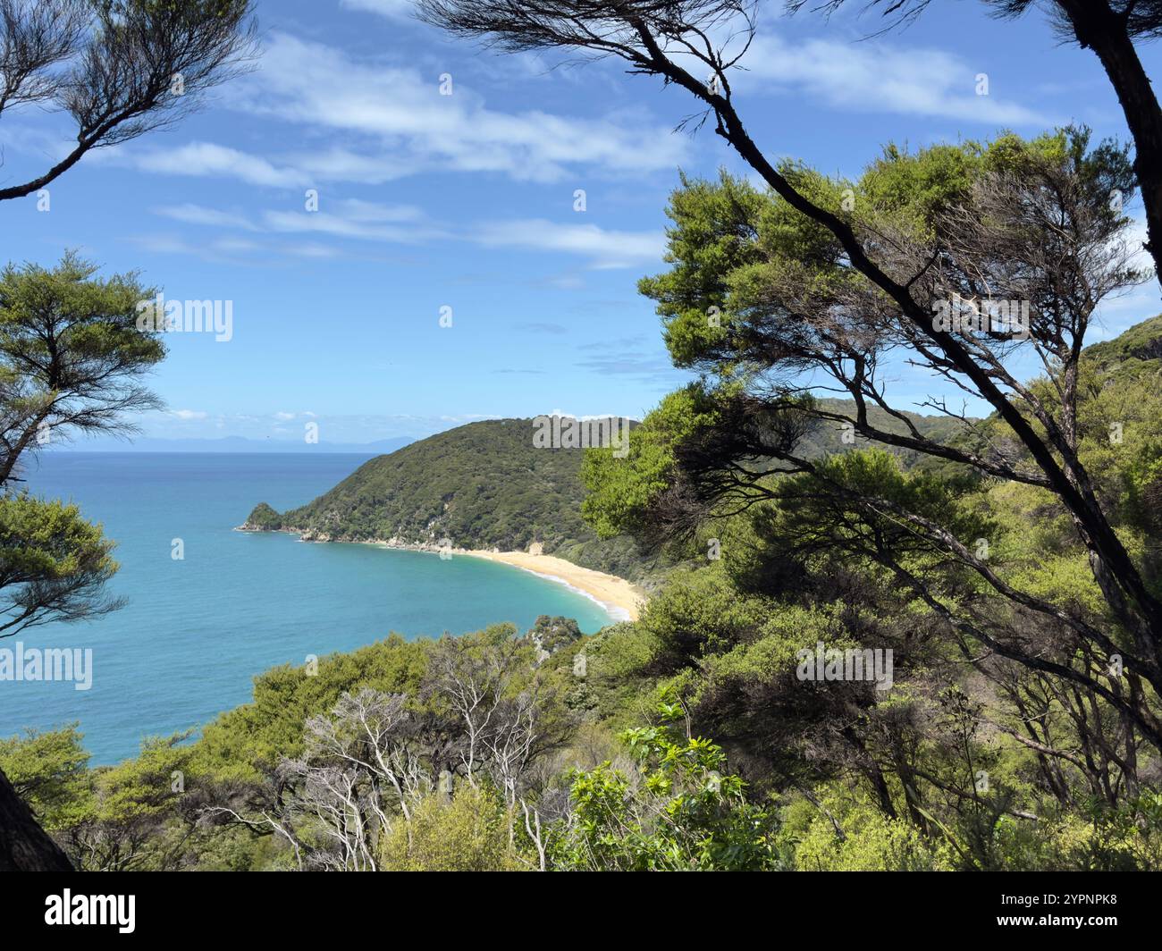 Tree overlooking a blue sea hi-res stock photography and images - Alamy, image size:1300x1064