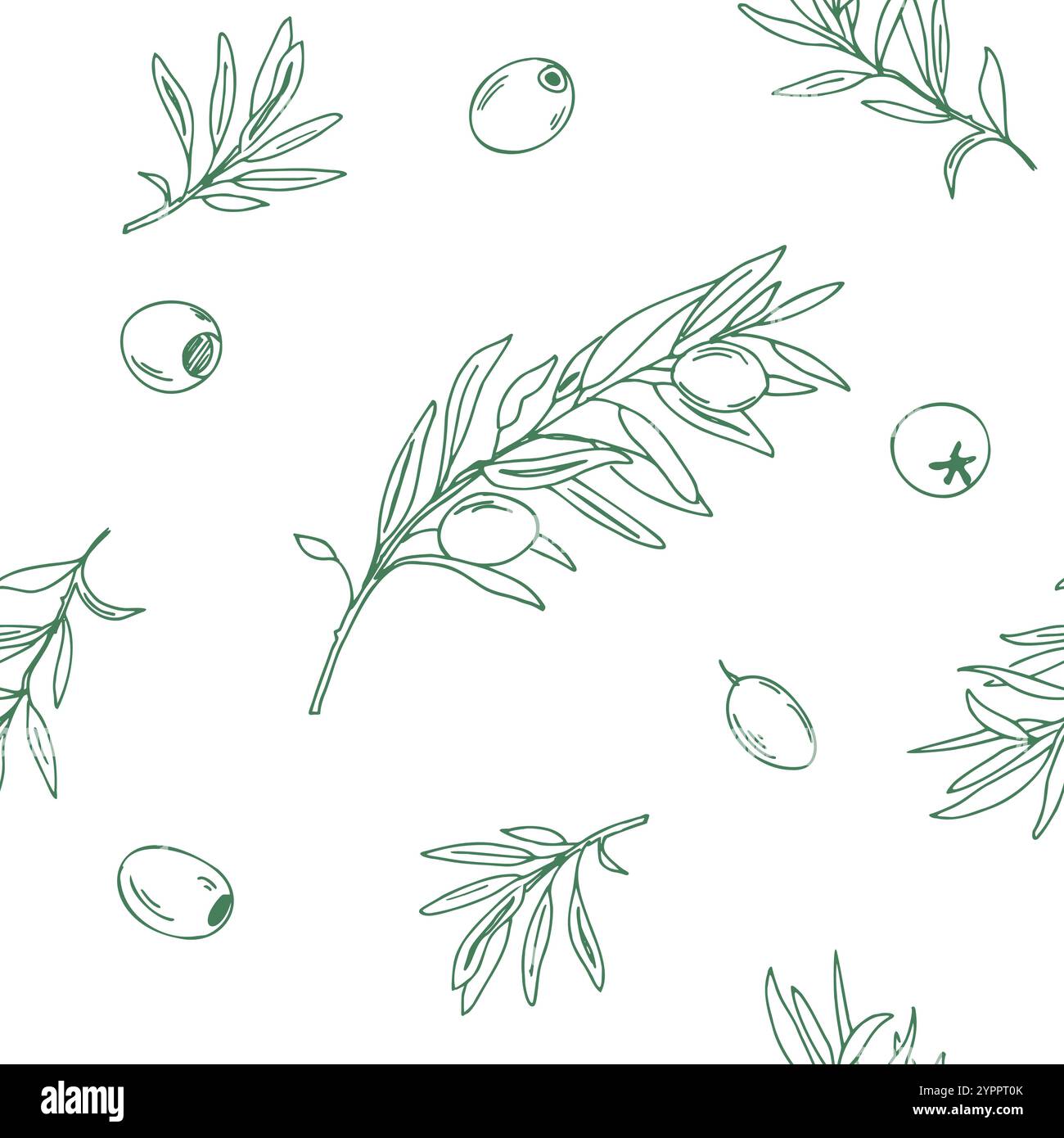 Graphic Seamless Pattern with green Branches of Olives on a white ...