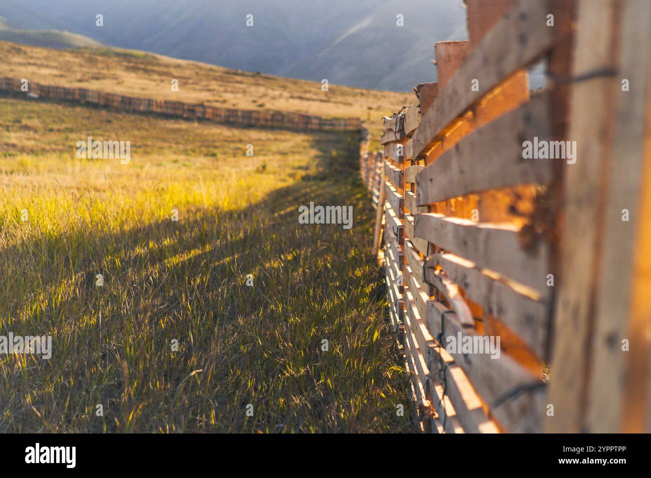 Wooden Fence in a Golden Field Stock Photo - Alamy