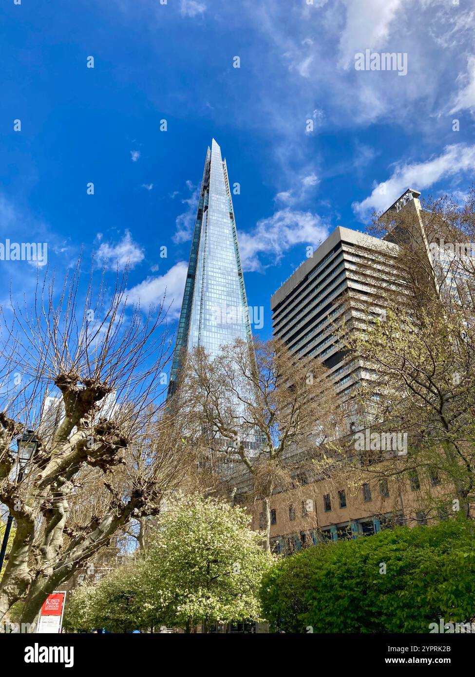 The Shard viewed from a courtyard of St-Guy's-hospital in early spring, London, England Stock Photo