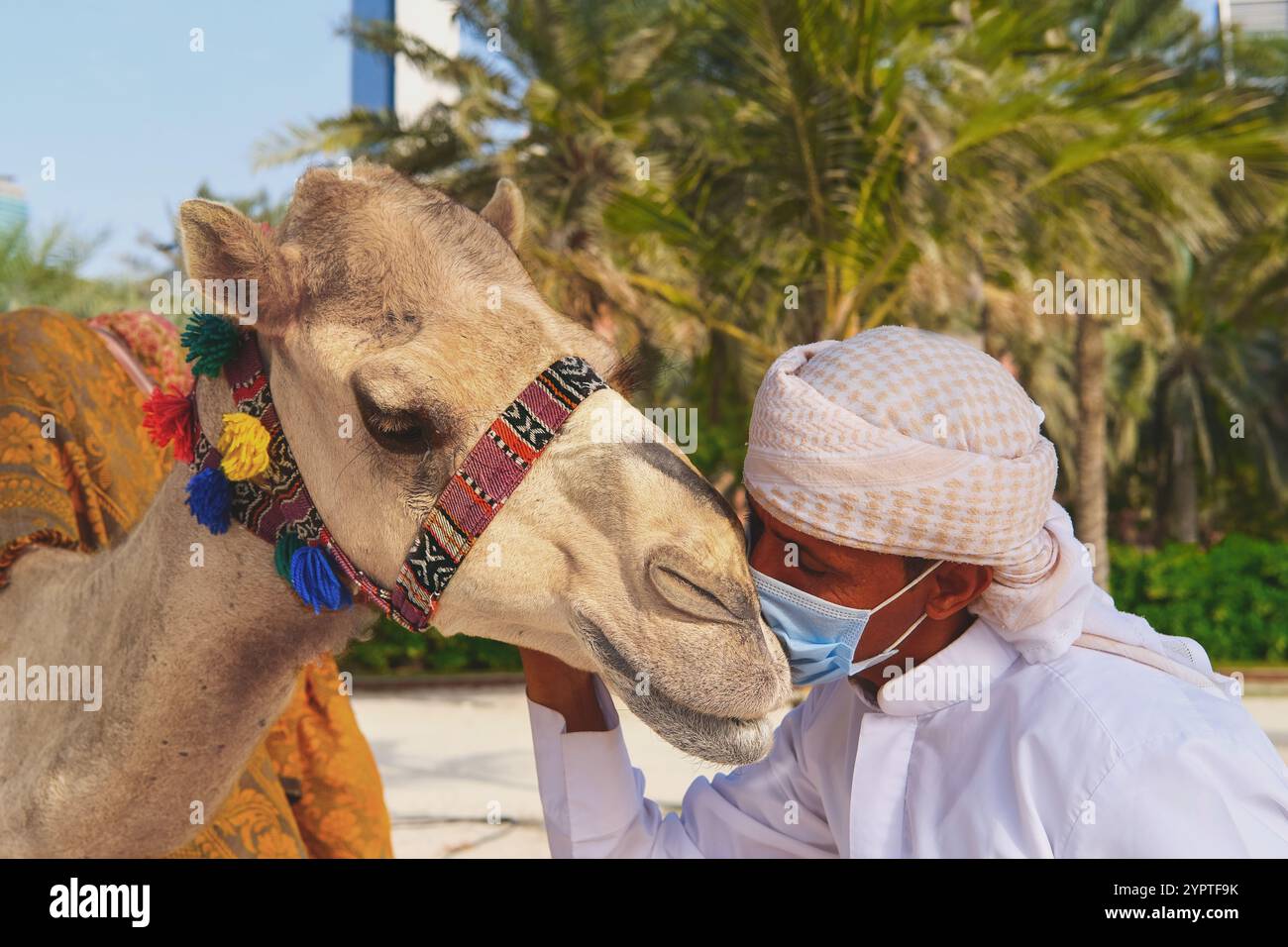 Bedouin shepherd in hi-res stock photography and images - Alamy