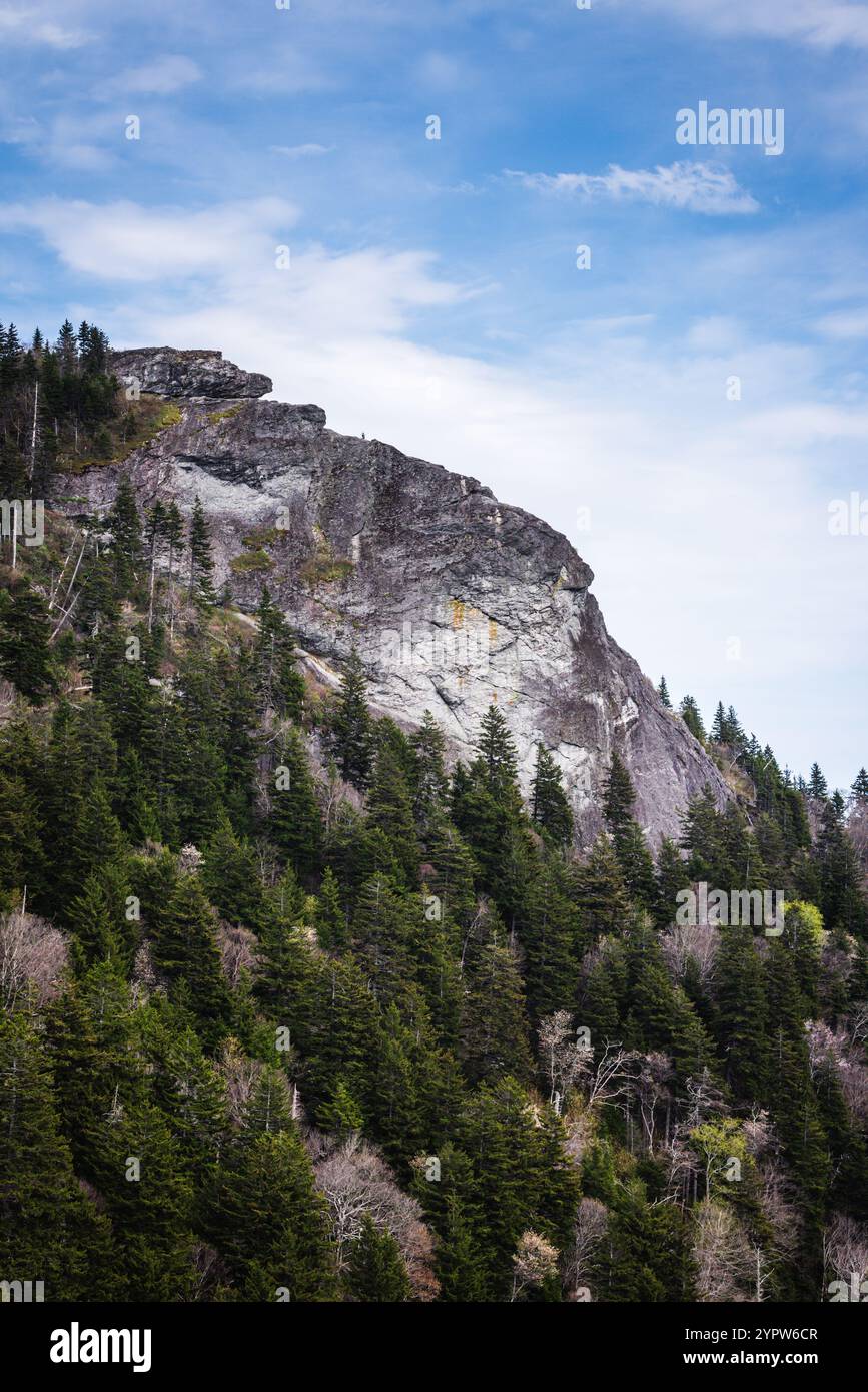 Vertical view of Devils Courthouse ridge in the Appalachian Mountains ...