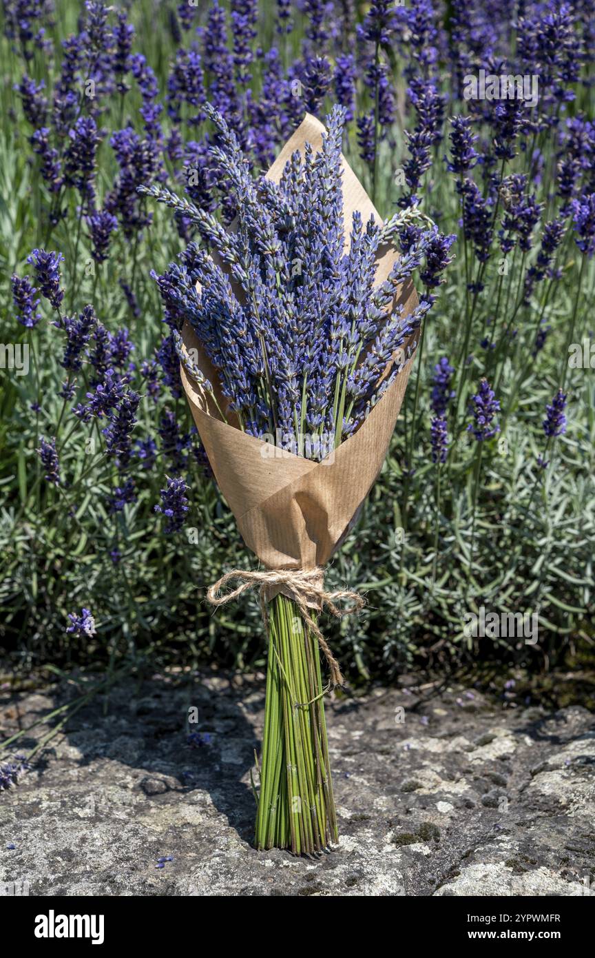 Jute rope flower hi-res stock photography and images - Alamy