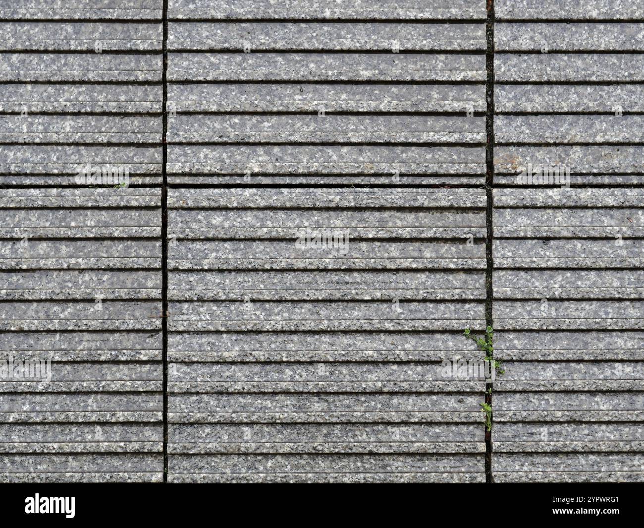 Granite & wallflowers, texture background structure, rustic, stone background Stock Photo