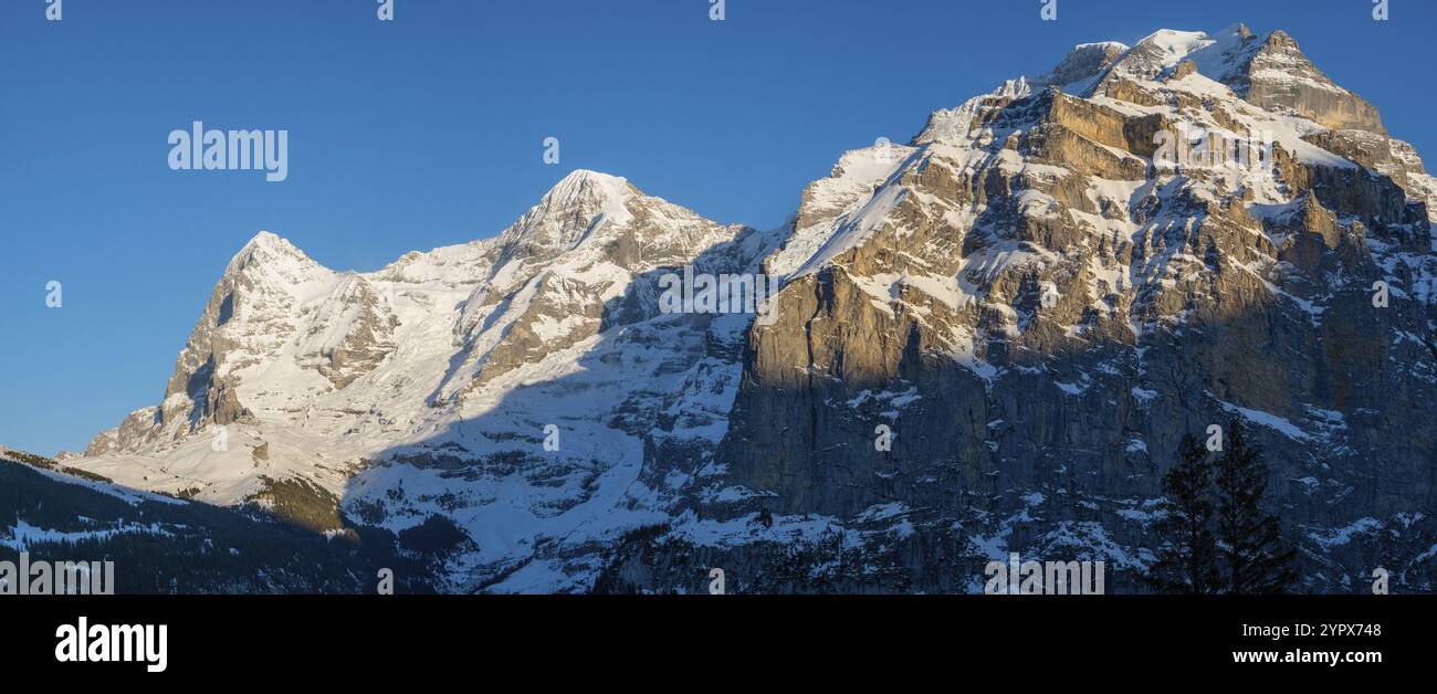 The famous Swiss mountains Jungfrau, Moench, and Eiger, in the late ...