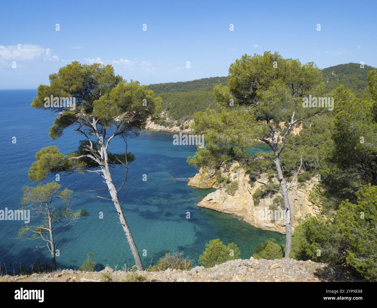 Deep bl hi-res stock photography and images - Alamy