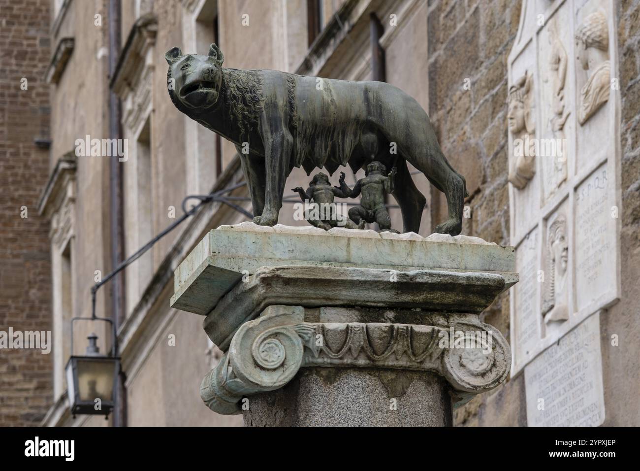 Wolves In Rome Luperca, the she-wolf who according to Roman mythology nursed Romulus ...