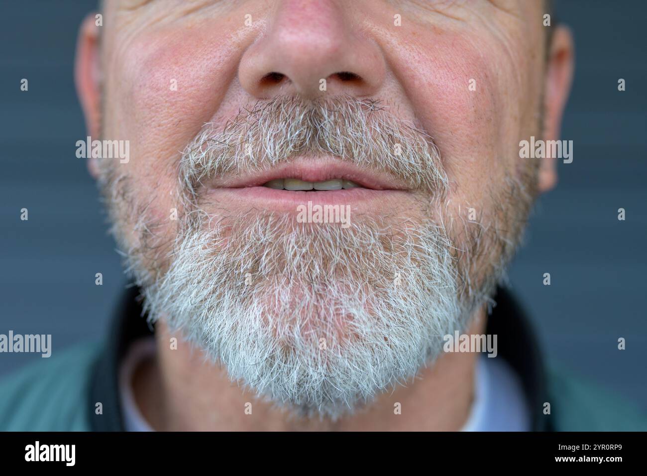 A detailed close-up image of a man’s mouth and gray beard, capturing ...