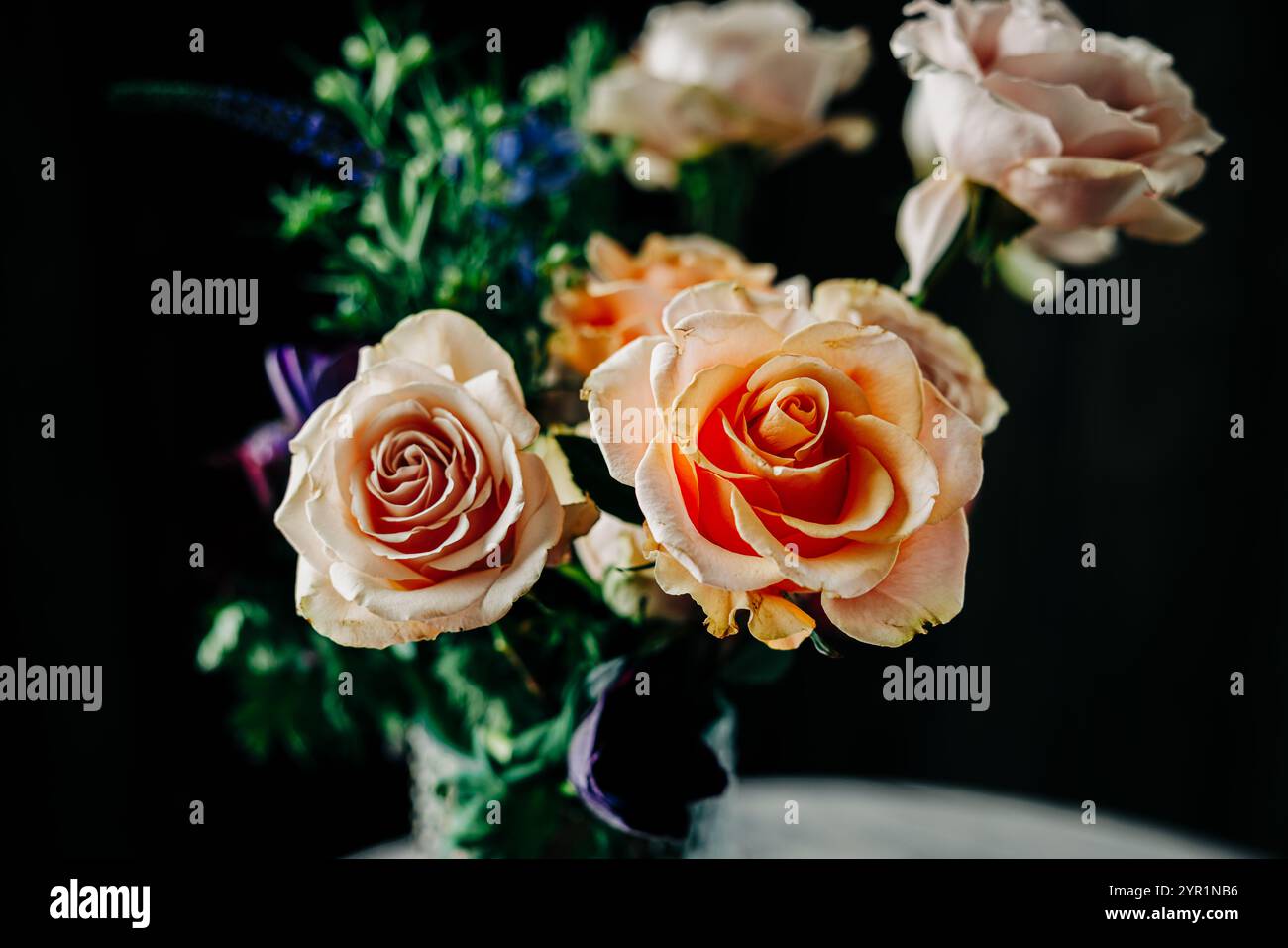 Low key roses hi-res stock photography and images - Alamy