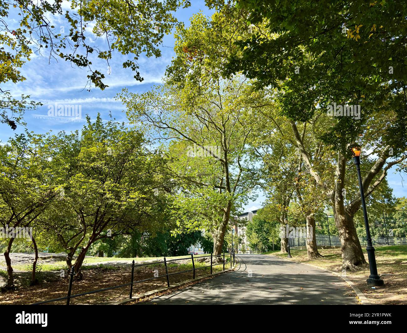 Scenic pathway winds through a lush, green park with tall trees Stock ...