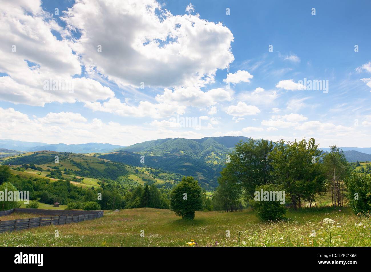 mountainous rural landscape in summer. provincial highland. trees and herb meadow on the hill. sunny day with clouds on the sky. spectacular distant r Stock Photo