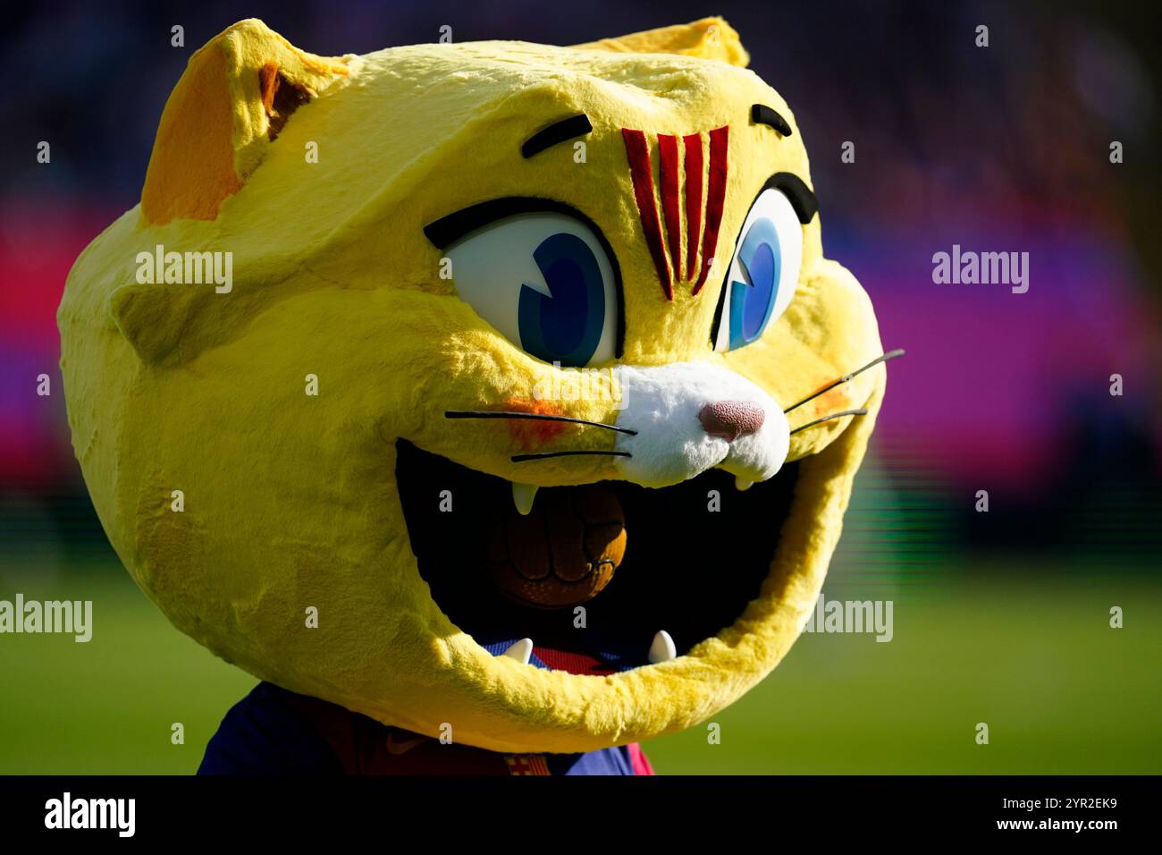 FC Barcelona pet during the La Liga EA Sports match between FC Barcelona and Las Palmas played at Lluis Companys Stadium on November 30, 2024 in Barcelona, Spain. (Photo by Sergio Ruiz / Imago) Stock Photo