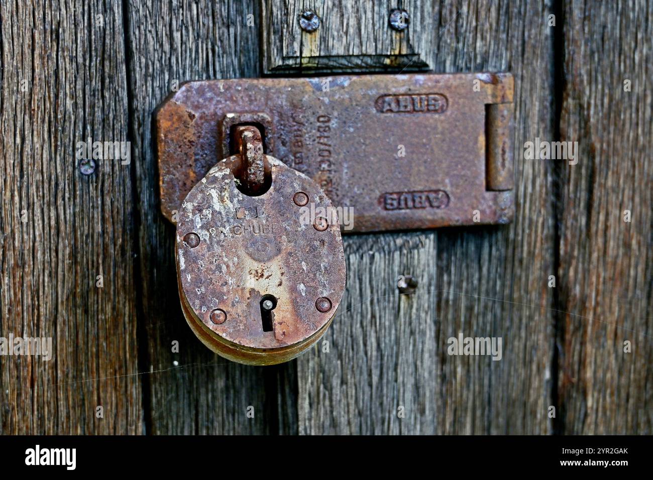 rusty padlock on rough wooden door Stock Photo