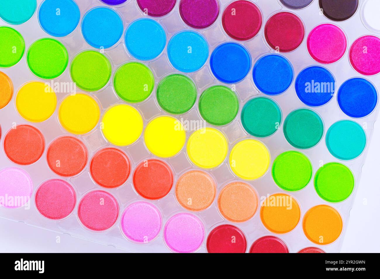 Ready Color Essential tools for artists hobbyists, ready colorful paints palette of ...