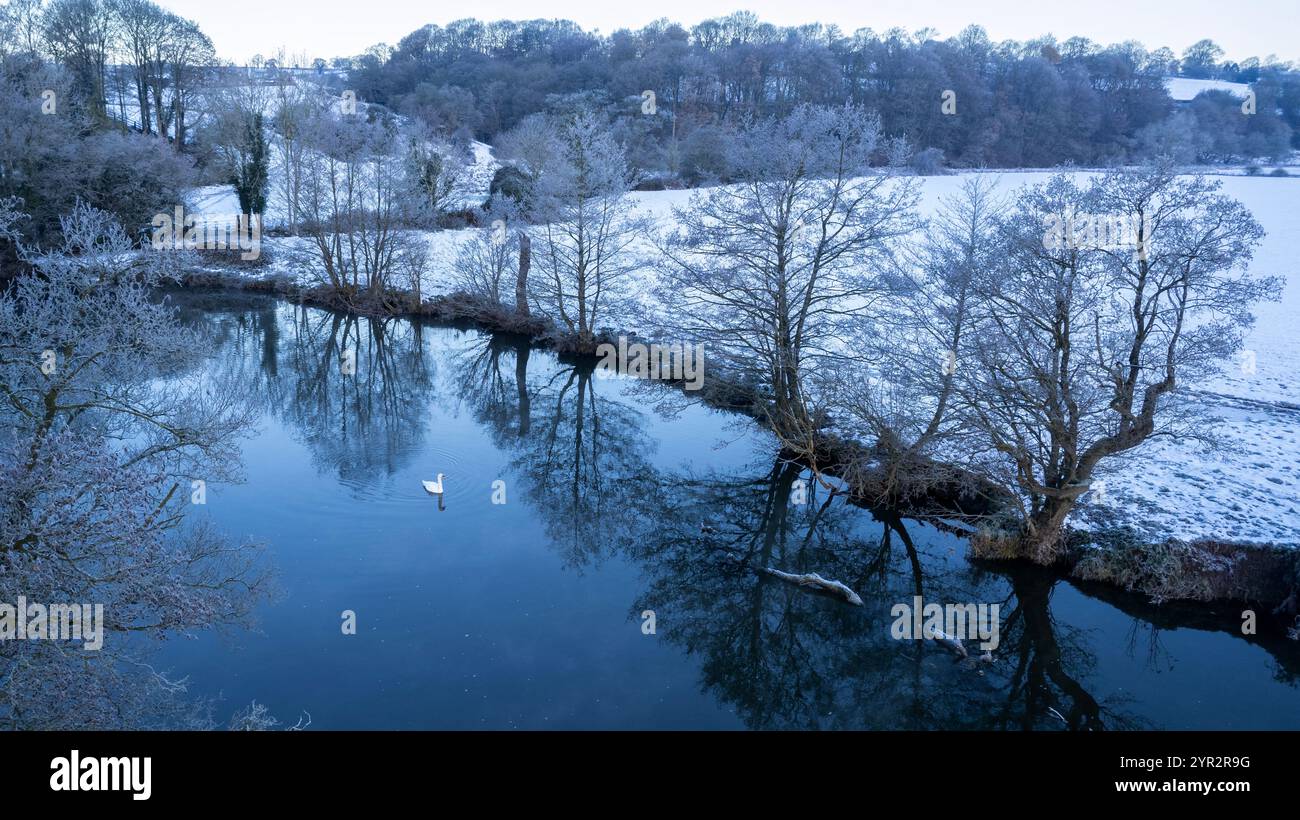 21/11/24   A swan glides serenely - as if untroubled by the minus seven degrees celsius temperature - along the river Dove near Mayfield. The river ma Stock Photo