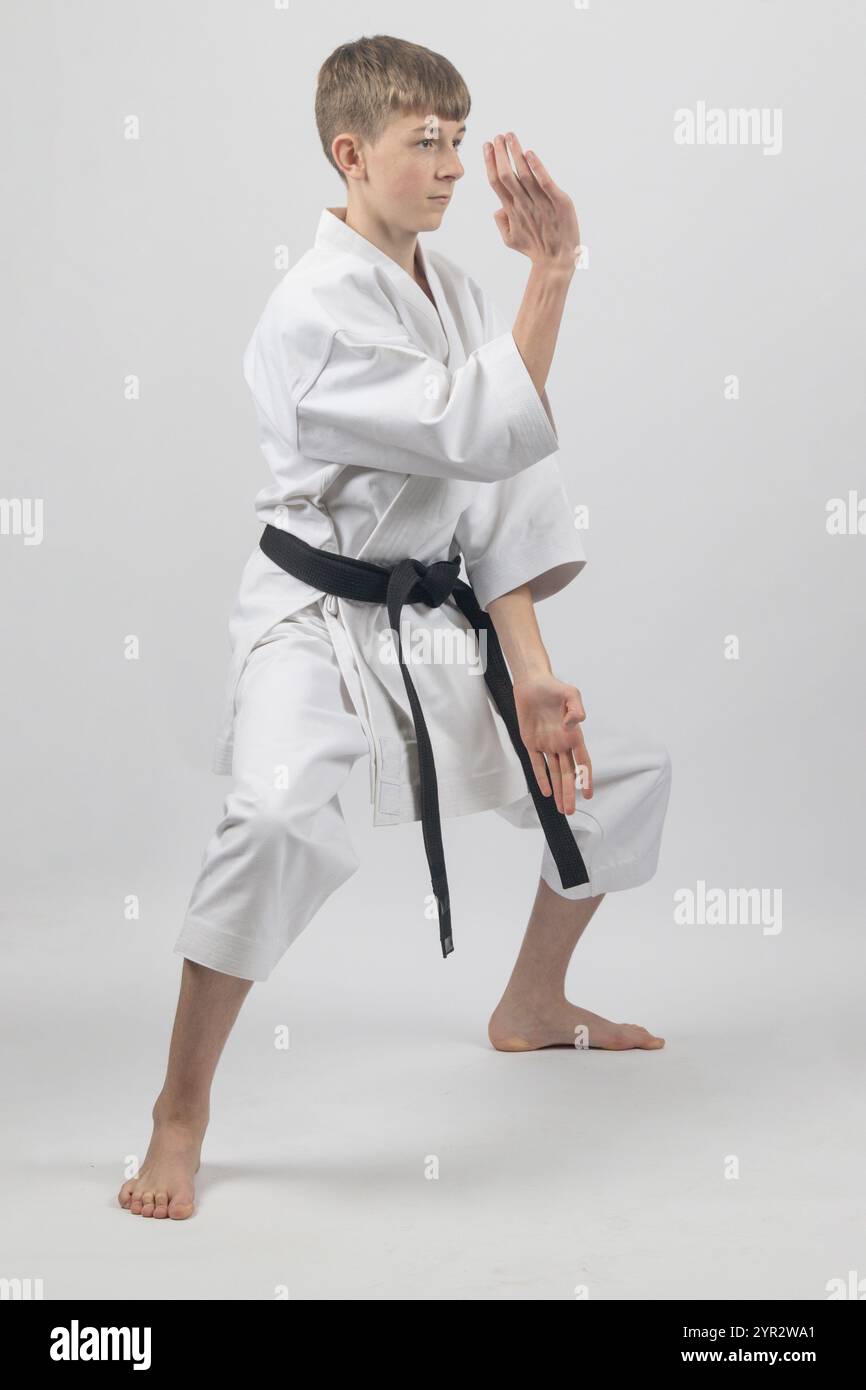Fifteen year old male teenage karate black belt standing in a low ...